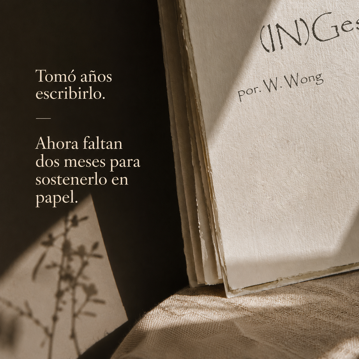 Wendy Wong manuscrito ingesta